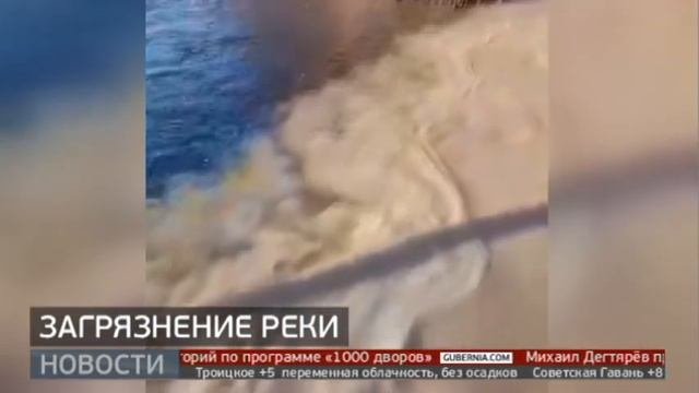 Загрязнение реки. Новости. 08112022. GuberniaTV