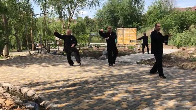 Wu Dang San Feng Taiji 28 -  武当太极二十八势   (Удан Сань Фэн Тайцзи 28)