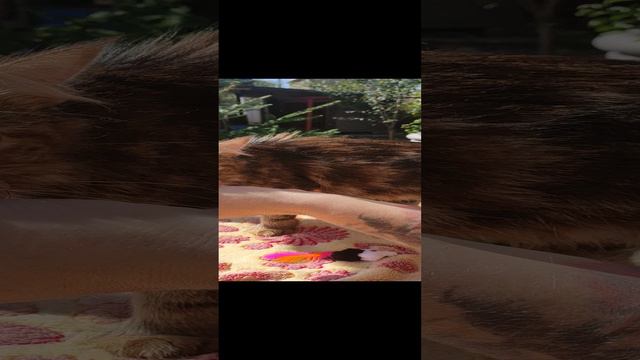 VID_20240826_122453