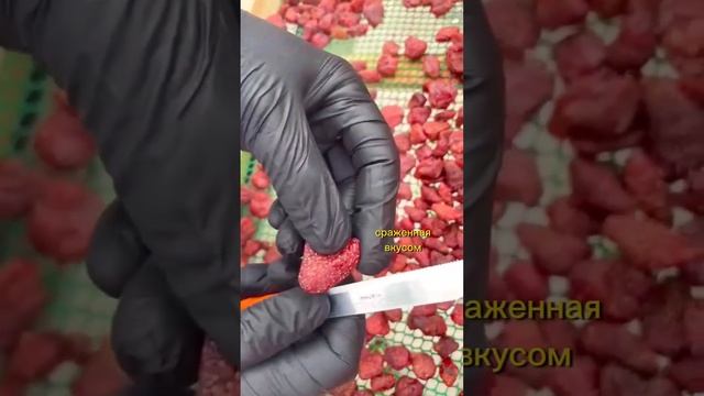 Как быстро помириться с парнем? теперь вы знаете, что делать)) артикул озон 803986409