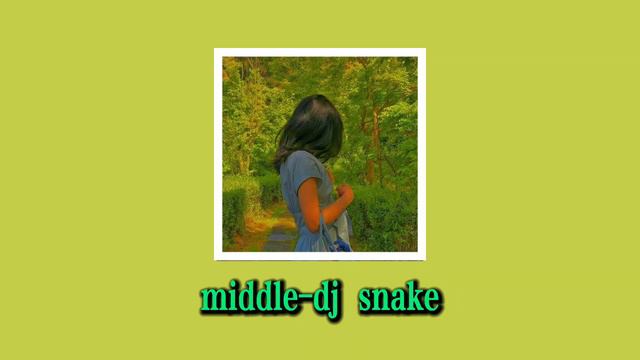middle-dj snake 🐍 slowed (ver)