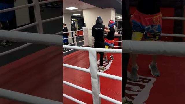 Бокс спаринг 21.01.2022 Брайцев Илья
