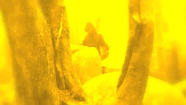 Underground Rivers - Francis Mann