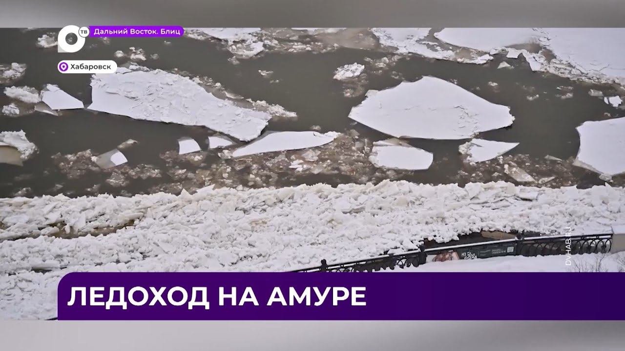 Дальний Восток Блиц  15.11.23