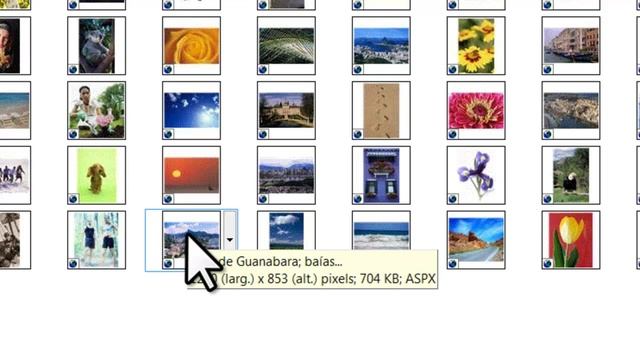 GIMP Tutorial 054 - MICROSOFT CLIP ORGANIZER.mp4