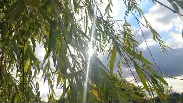 Помните, некоторые из самых лучших моментов вашей жизни даже еще не произошли.

 Дуг Каррайт