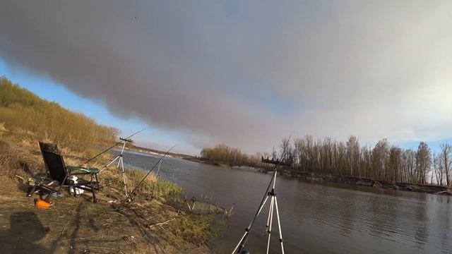 Весенняя рыбалка 2020, поймали 7 видов рыбы, уха...