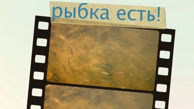 Любутское городище