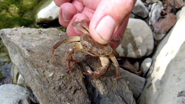 Фанагорийское, Поднависла и ещё дальше, или наш небольшой выезд на природу