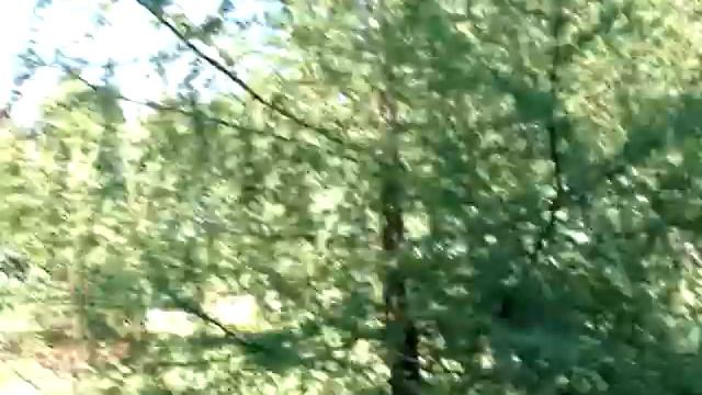 Криворожский ботанический сад и сам Кривбасс.