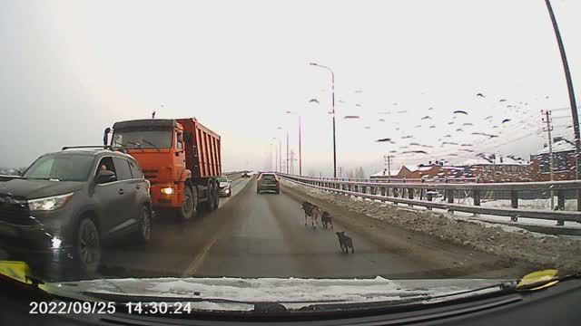 Семейка