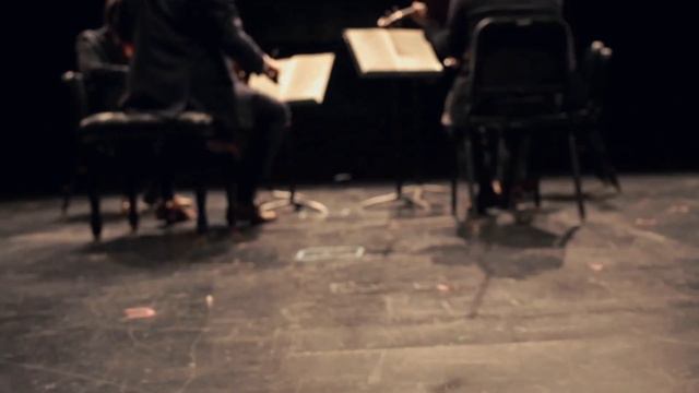 Escher String Quartet plays Schubert's Quartettsatz