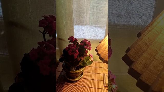 ПОЧЕМУ НЕ ОБВИСАЕТ ЛИЦО (не видео, а слышио)