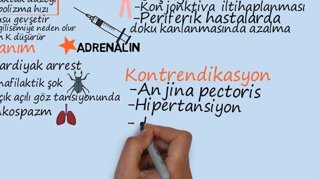 Farmakoloji-Otonom Sinir Sistemi İlaçları-2