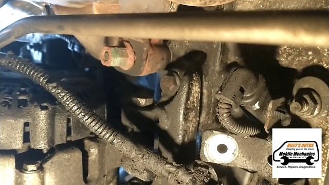 Peugeot Partner  Citroen Berlingo 1.6HDi Alternator Replacement