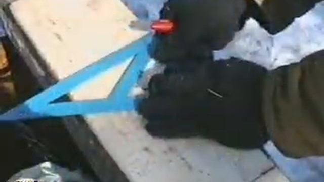 Курс полевого экологического образования