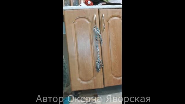 Собака прячется в шкаф.