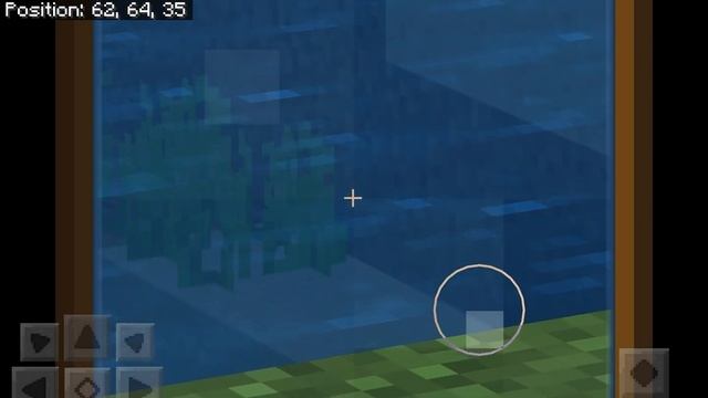 How to find entity 303 in minecraft
