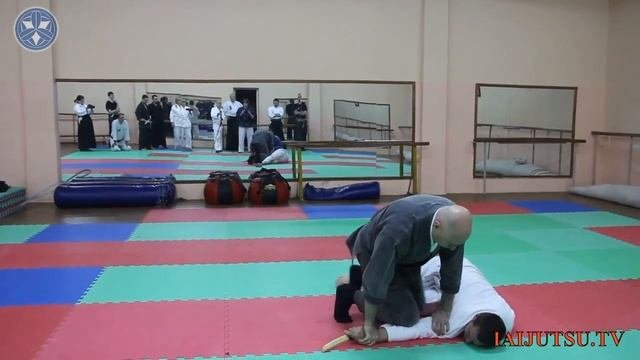 Джиу-Джитсу Нидэн-Рю