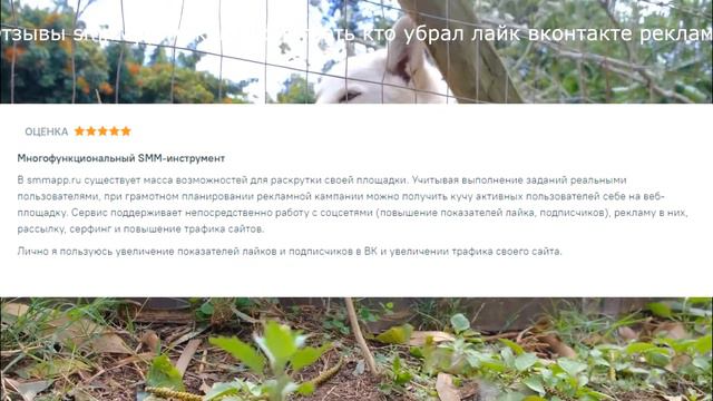 Отзывы smmapp.ru как посмотреть кто убрал лайк вконтакте реклама