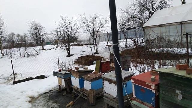 С Праздником дорогие наши женщины!БабушкиМатеридочериСестры!