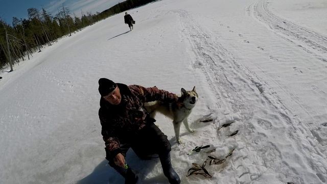 поездка на язевую