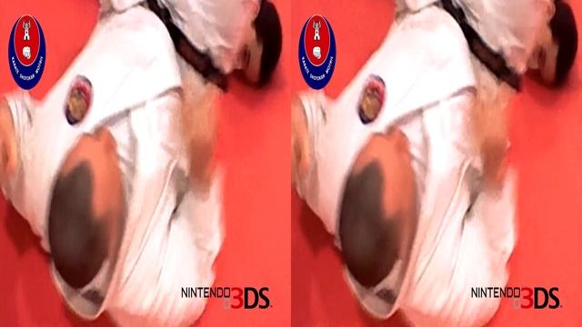 Shotokan Motril - Vídeo 3D (grabado con Nintendo 3DS)