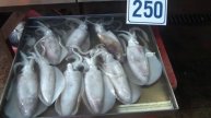 Рыбный рынок. Завершение