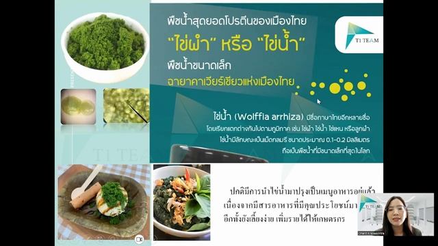 บรรยายเกี่ยวกับผลิตภัณฑ์ D Green (ดีกรีน)