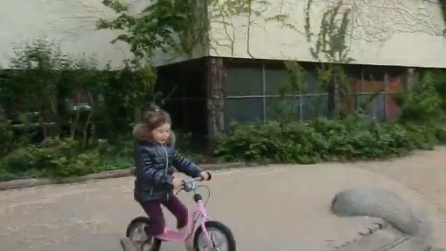 велосипед bike bicycle Fahrrad как на нём кататься