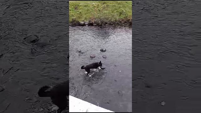 1000041580.mp4