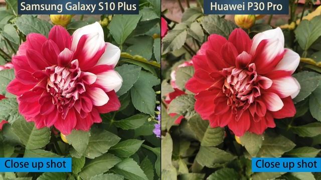 Huawei P30 Pro vs Samsung Galaxy S10 Plus: Camera Comparison