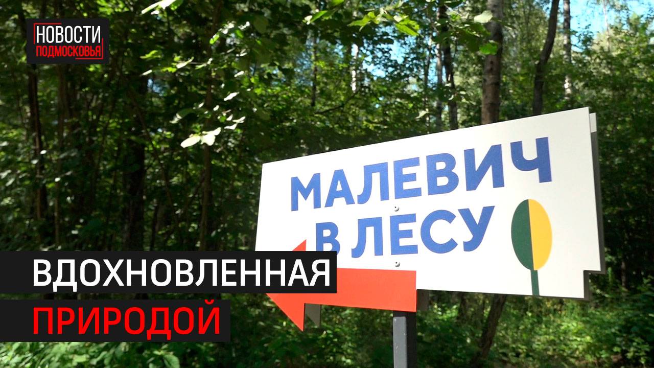 В парке Малевича открылась выставка современного искусства // 360 Одинцово