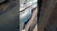 бывшая шахта г. Горняк