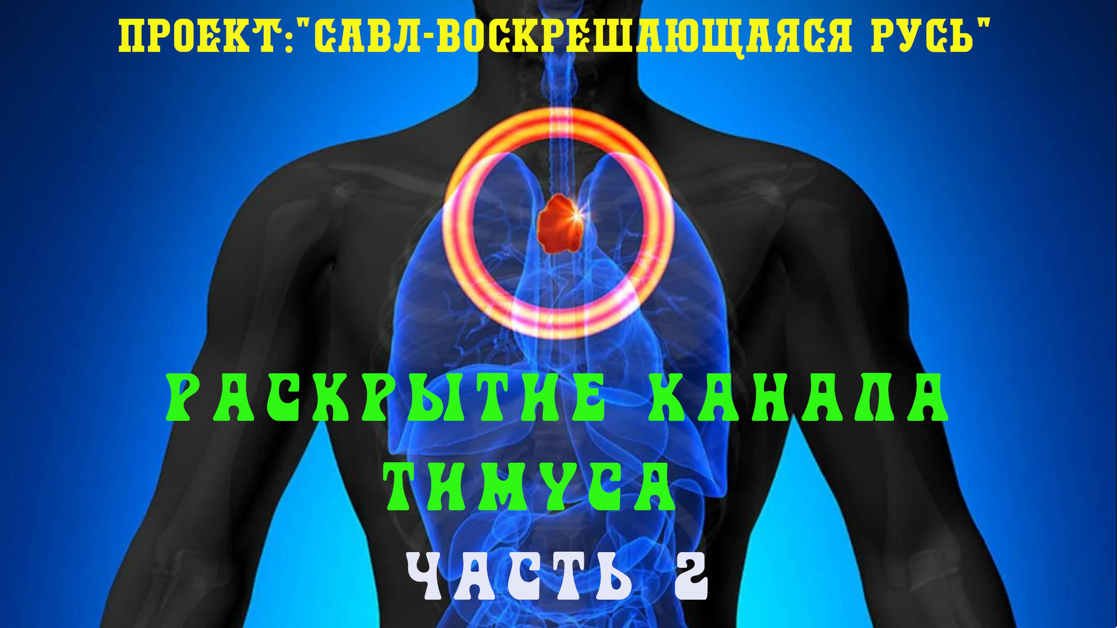 130.Раскрытие огненного канала Тимуса(вилочковая железа) ч 2. Данный опыт впервые на планете Земля.