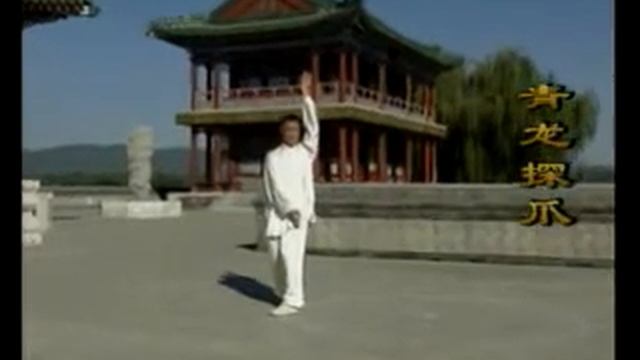 Chenshi Bagua Zhang  Liu Jing Ru  Part 1程式八卦掌上