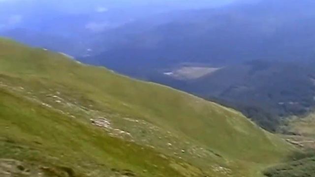 в Горах. Цветы и Снег .  Flovers and Snow