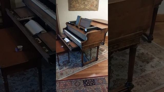 Baekken: Grieg