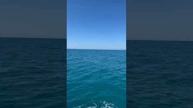 Архипо-Осиповка 21 мая 2024 года 🌤️ вид  на море 🌊 с катамарана Барракуда 🦈