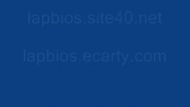 HP, COMPAC, DELL, SAMSUNG, SIEMENS REMOVE BIOS PASSWORD