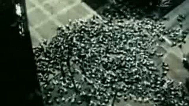 1200 человек умирает ежедневно