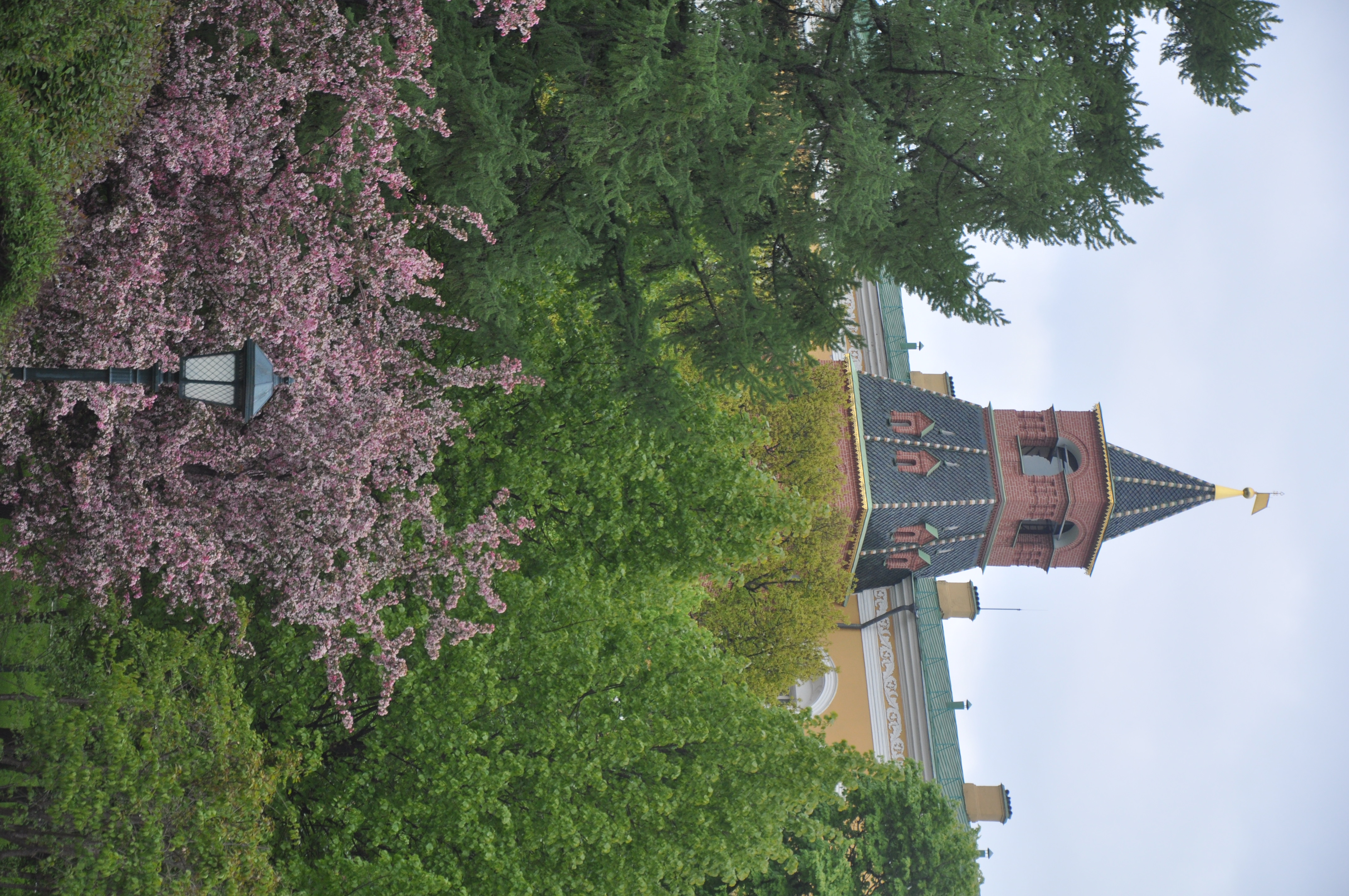 Цветущий майский Александровский сад в Москве