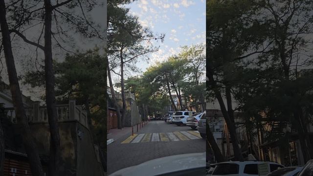 Такси у моря 🚕🚕🚕