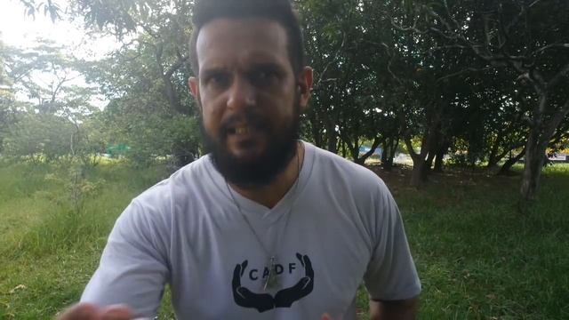Um Alienígena Abduziu Um Pastor da Igreja - CADF 792.
