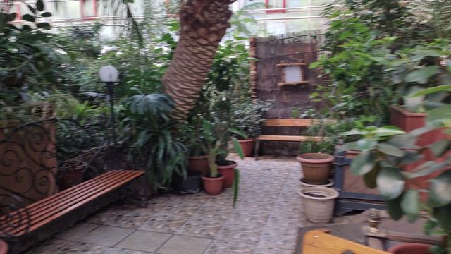 2 часть. Уфимский научный центр Ботанический сад-институт 20 мая 2024 оранжерея с растениями