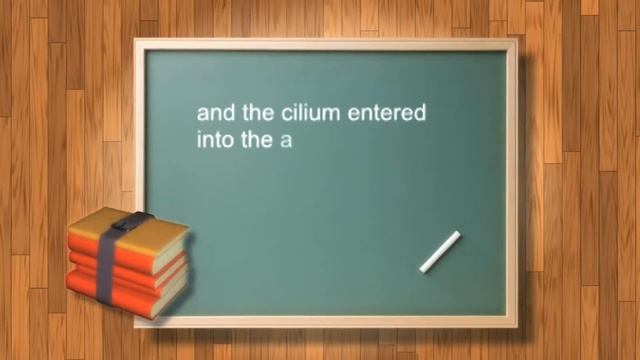 Cilium in anterior chamber  with an intact globe: Is it possible?