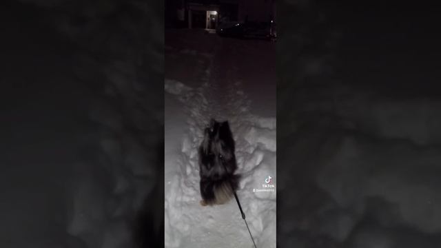Танцор