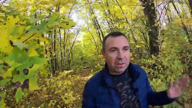 КАК ПЕРЕВЕЗТИ ДЕНЬГИ В ВОРОНЕЖ?