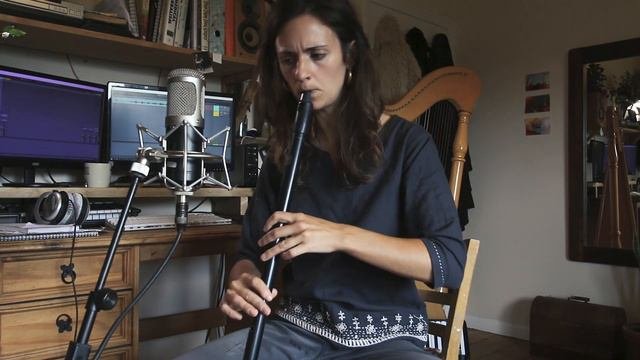 An Buachaillin Ban (The Dear Irish Boy) - Howard Low D Whistle And Harp