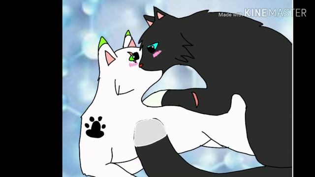 Клип кот воитель